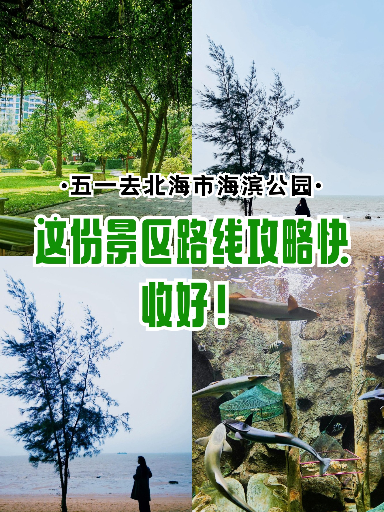 北海旅游注意事项-北海旅游注意三个陷阱