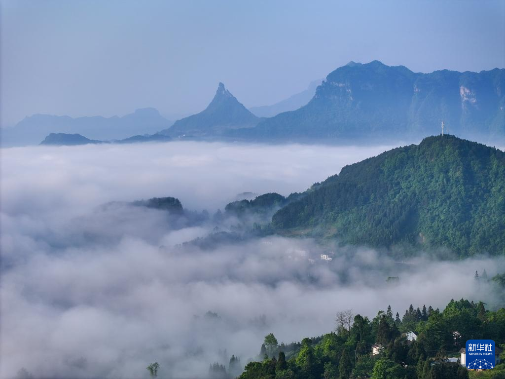 重庆金佛山旅游-重庆金佛山旅游全攻略
