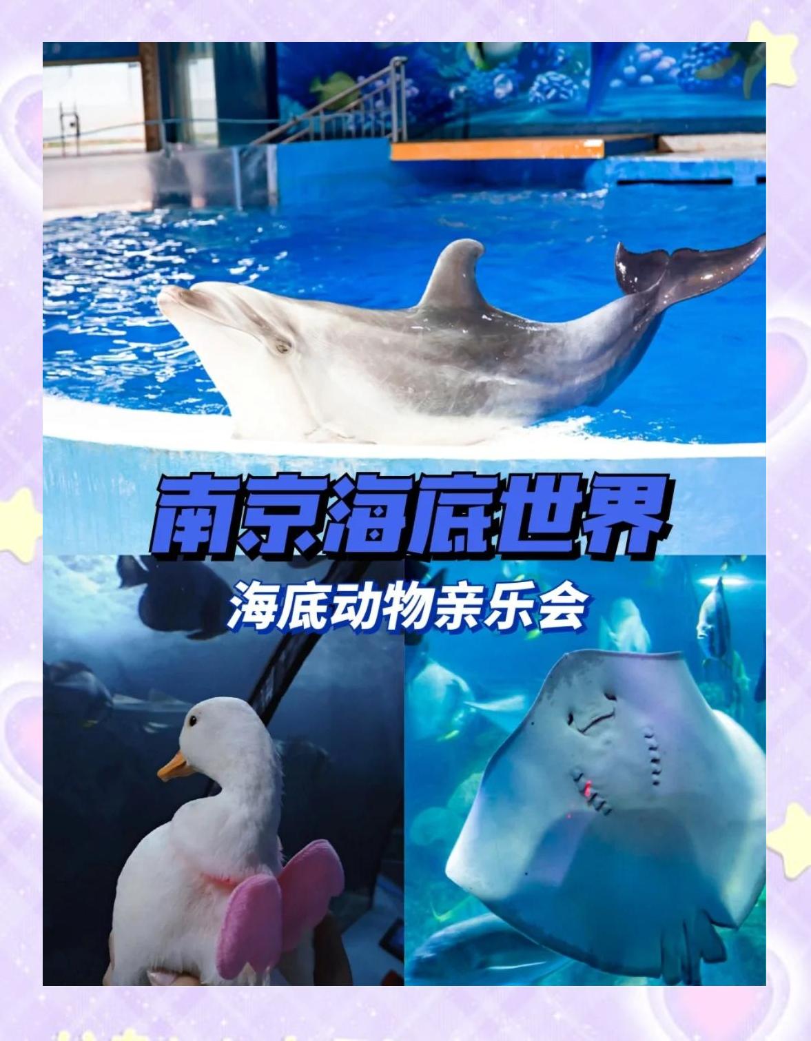 南京海底世界门票价格-南京海底世界门票价格多少
