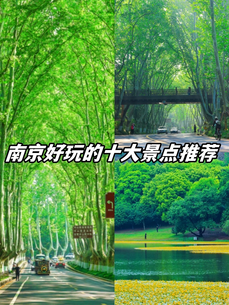 南京旅游景点有哪些好玩的-南京旅游景点有哪些好玩的地方