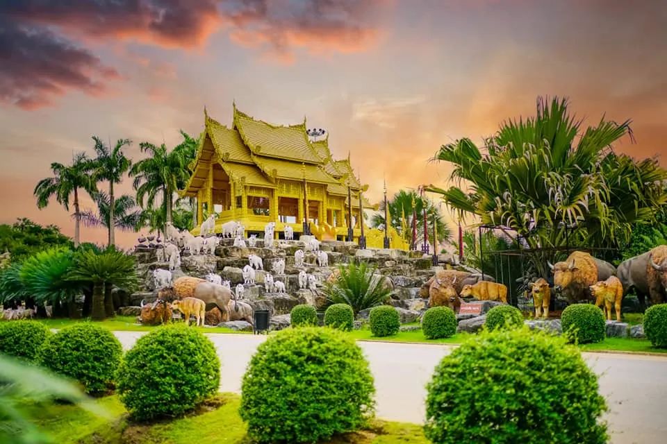 芭提雅旅游-芭提雅旅游视频