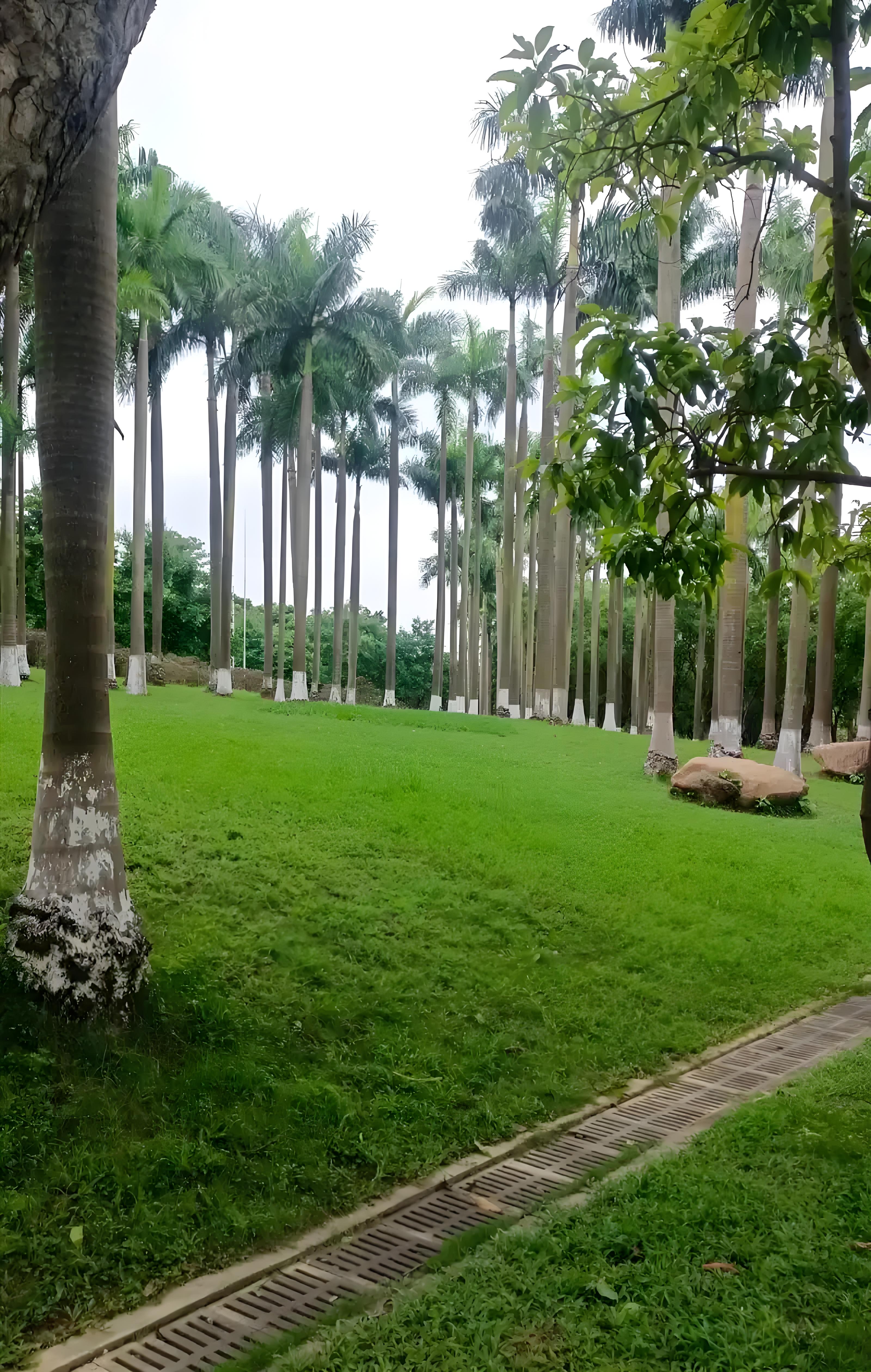 番禺旅游-番禺旅游景点一日游