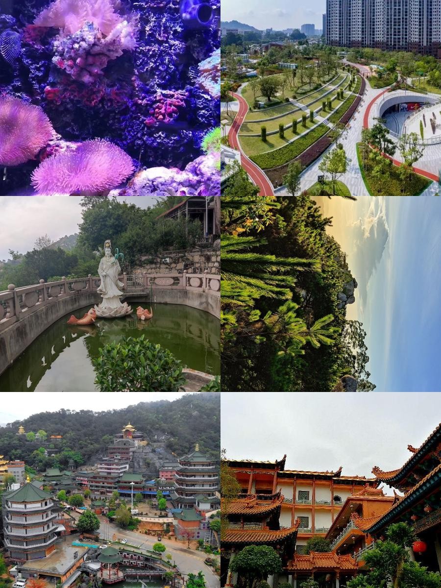 潮阳旅游景点大全-潮阳旅游攻略自由行