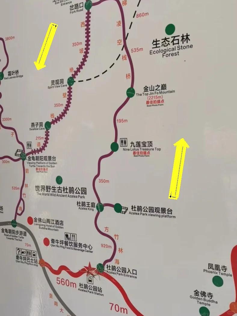 金佛山旅游攻略-金佛山旅游攻略一日游
