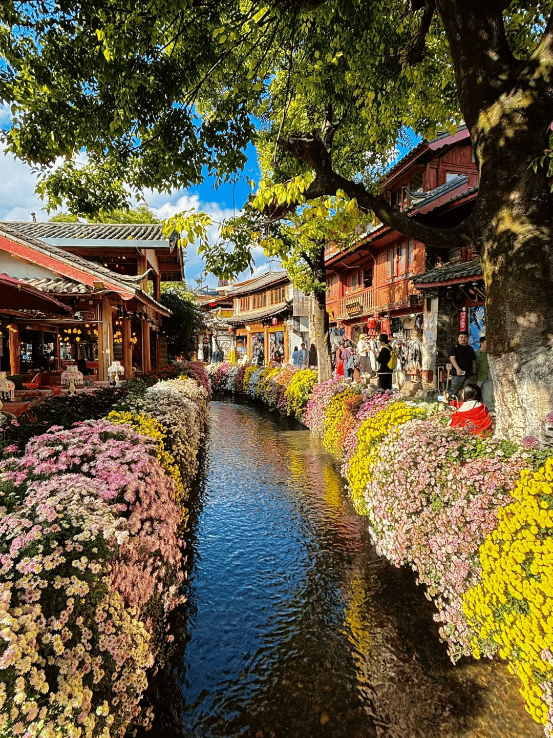 昆明大理丽江旅游-昆明大理丽江旅游团价格