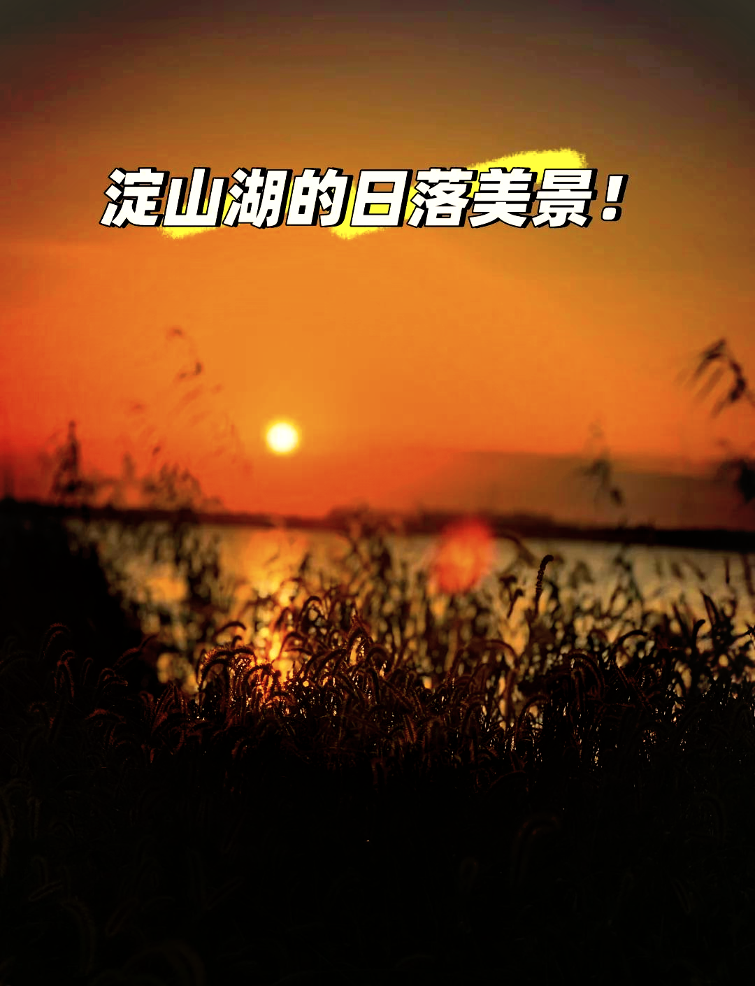 淀山湖旅游-淀山湖旅游景点图片