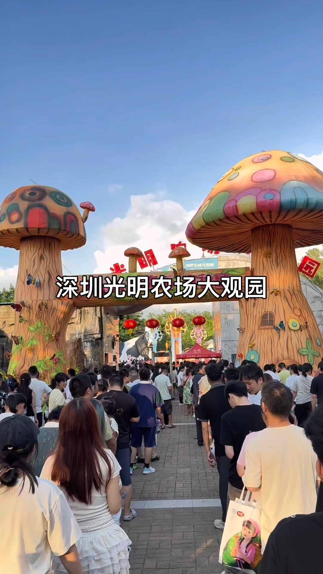 光明农场门票-光明农场开放时间