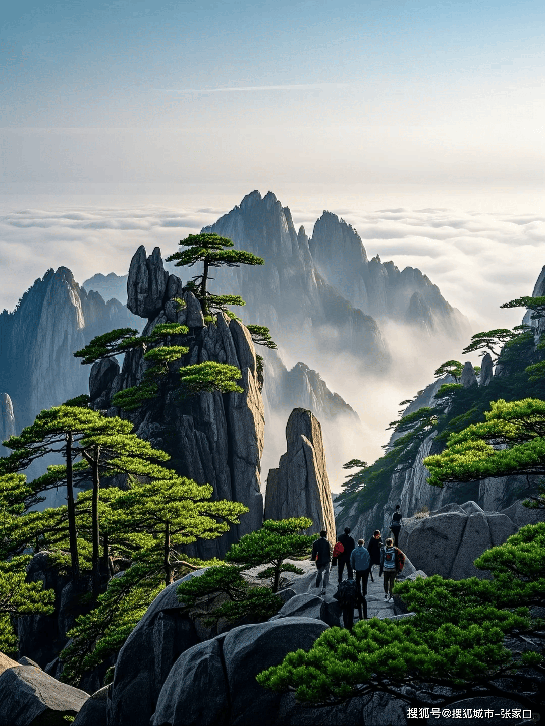黄山旅游论坛-黄山旅游平台官网