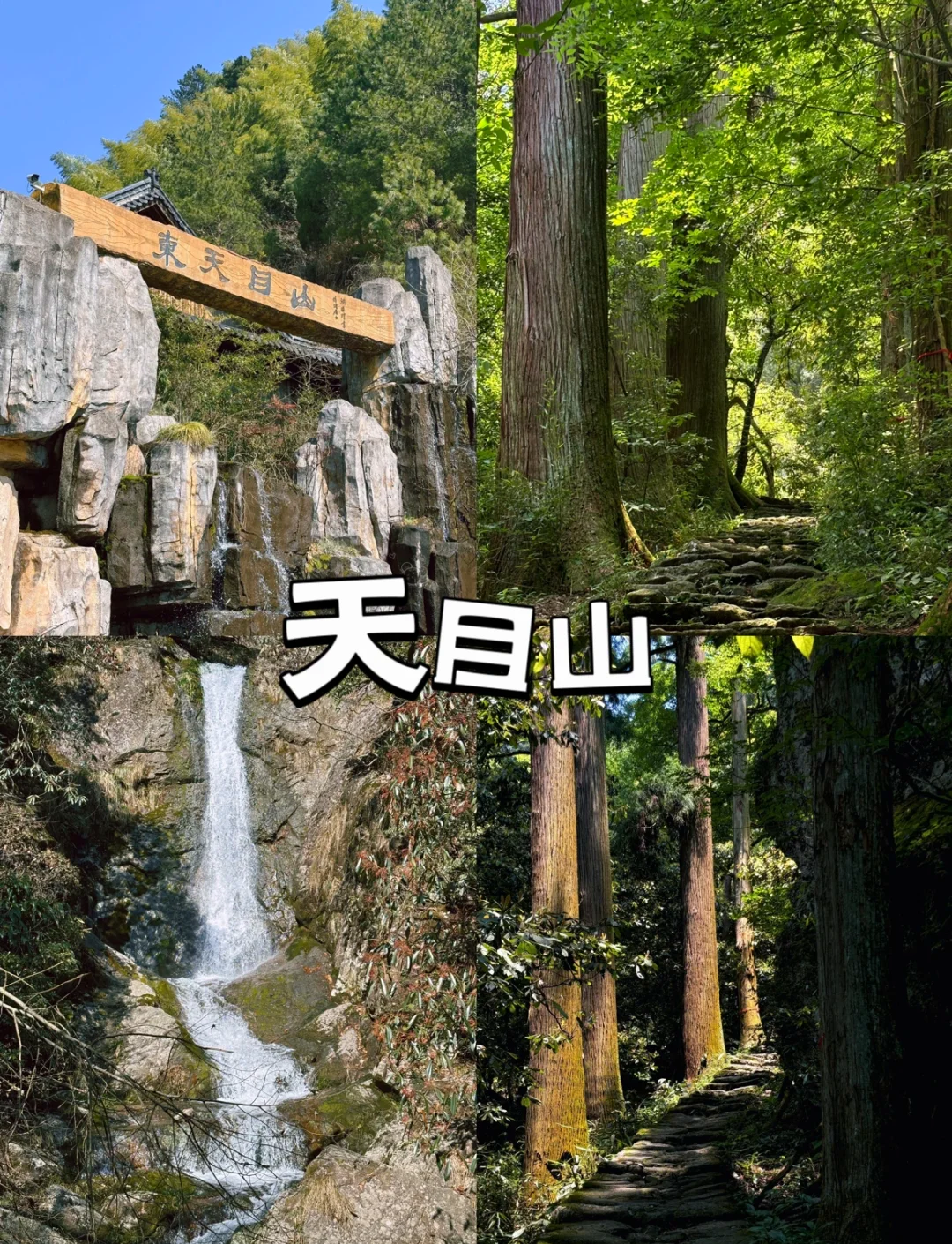 天目山旅游-天目山旅游,主要想玩哪些景点呢