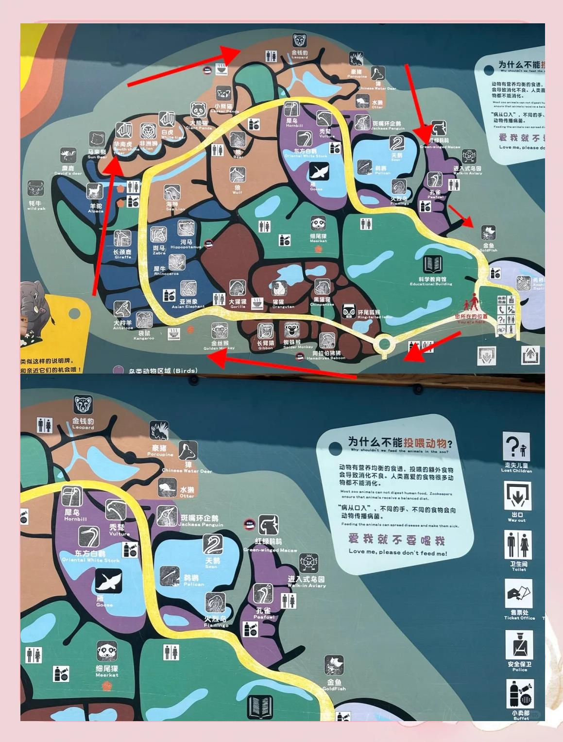 上海动物园门票价格-穷游看海去哪里比较好