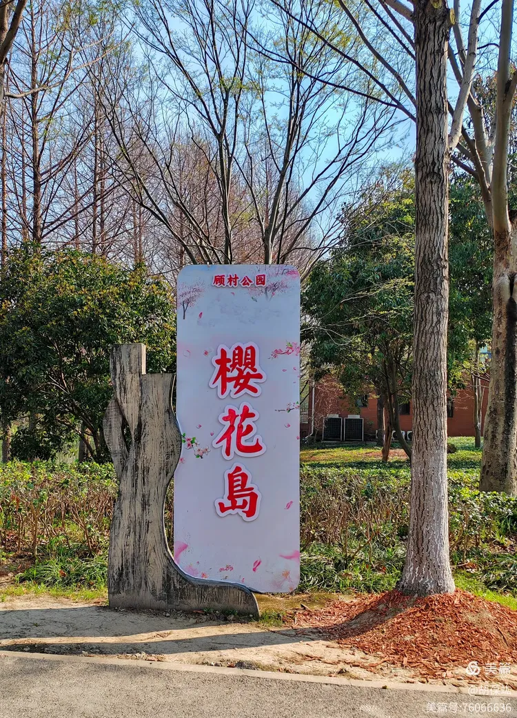 顾村公园门票-顾村公园 门票
