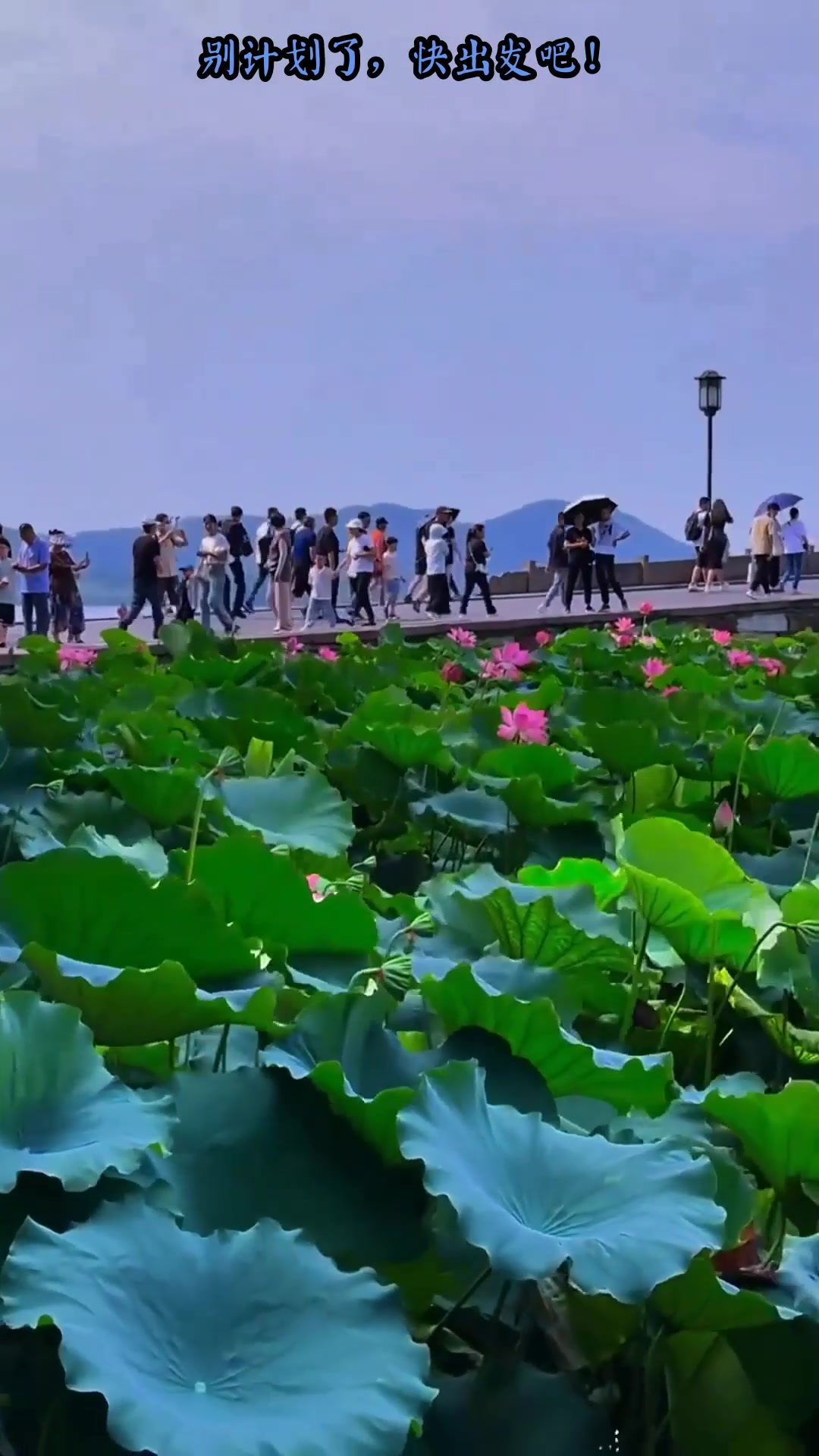 杭州自助旅游-杭州自助旅游费用