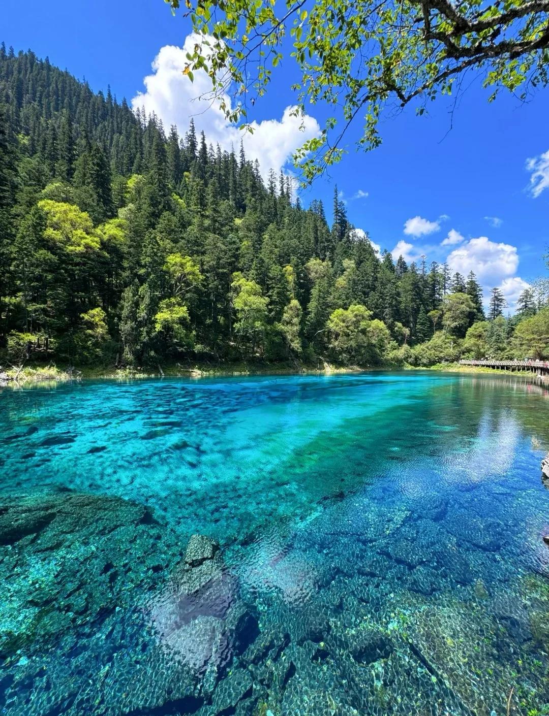 九寨沟旅游季节-九寨沟旅游季节最佳时间