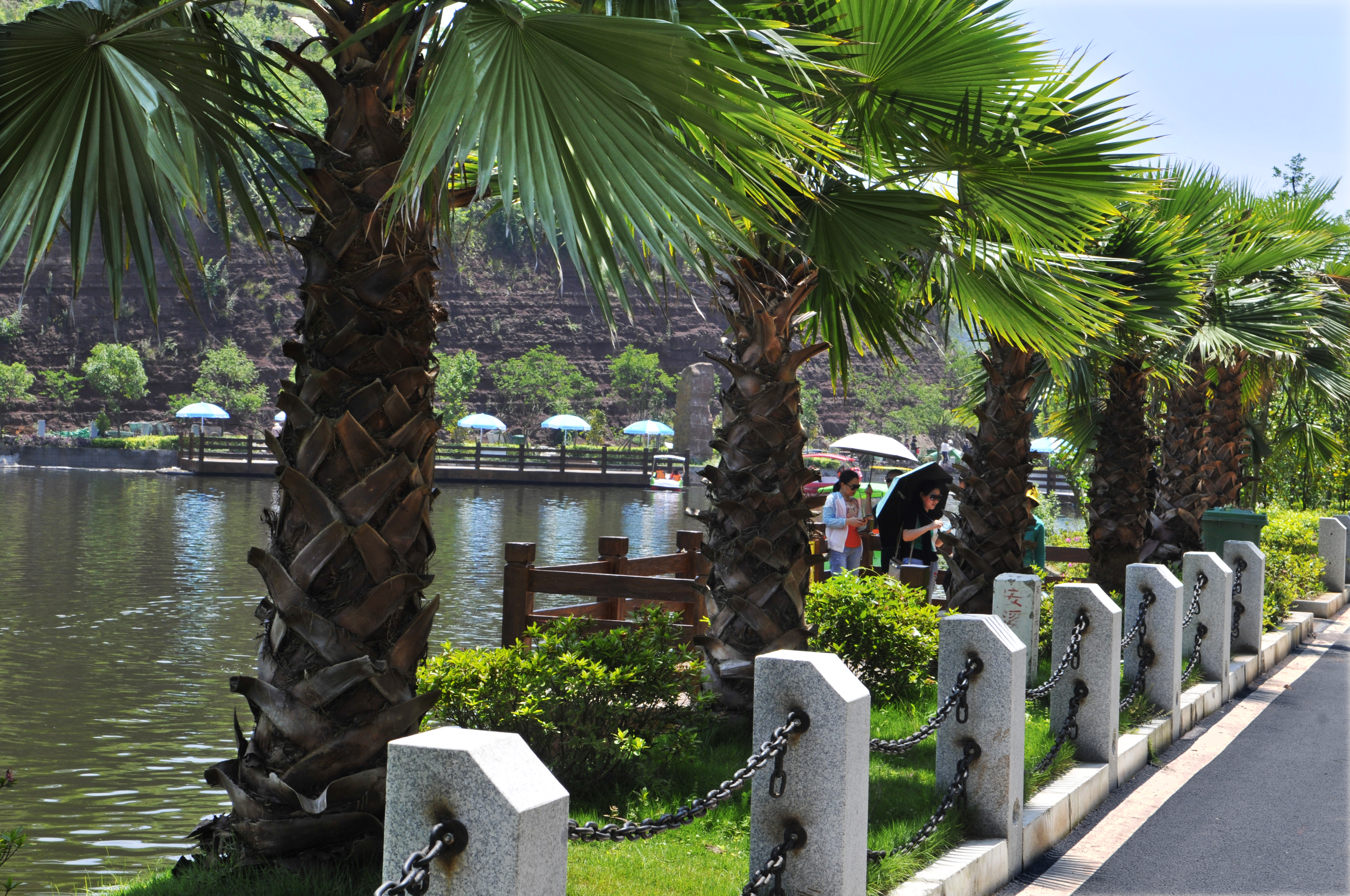 万州旅游-重庆万州旅游