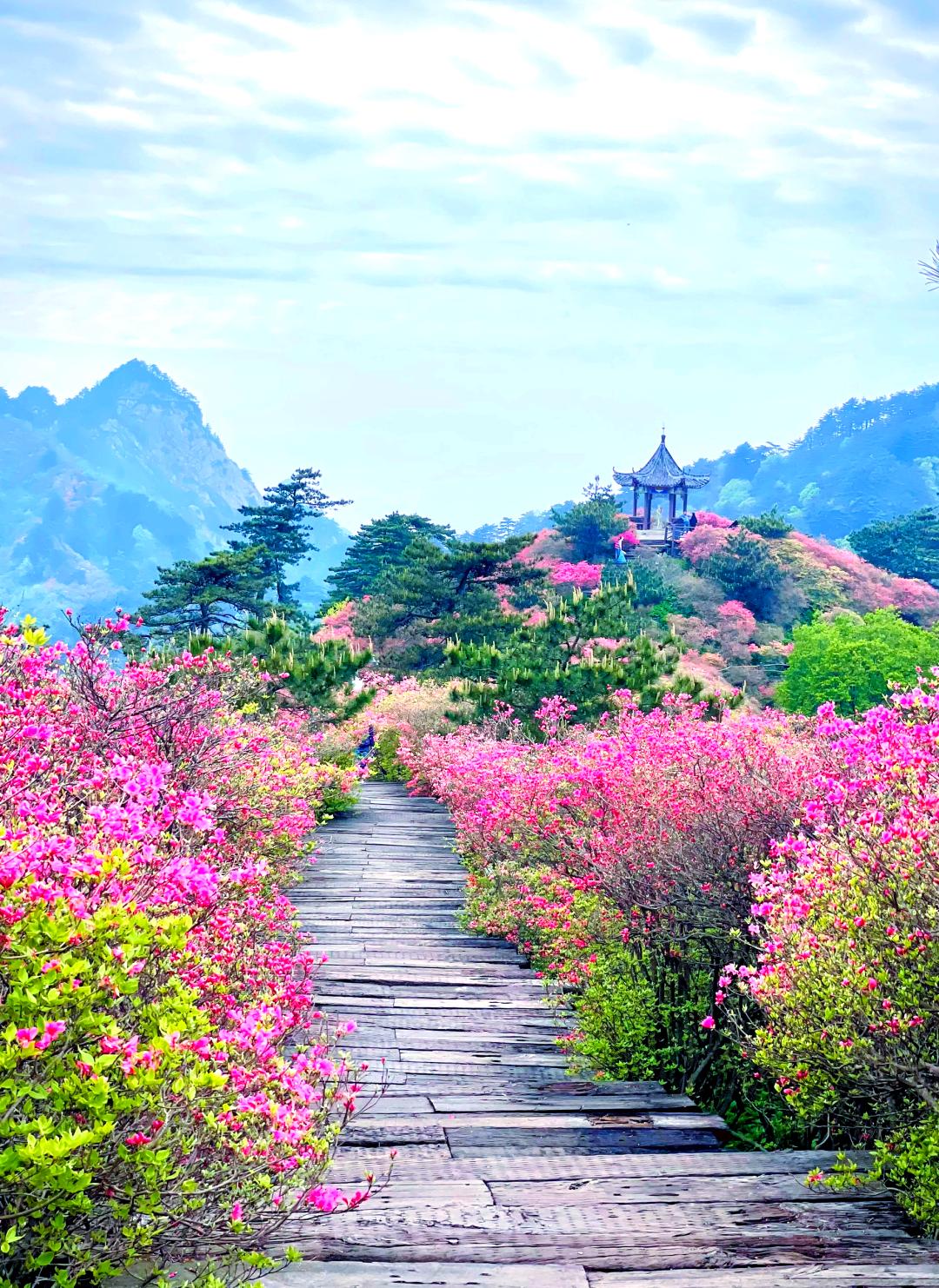 春季旅游景点-春季旅游景点有哪些