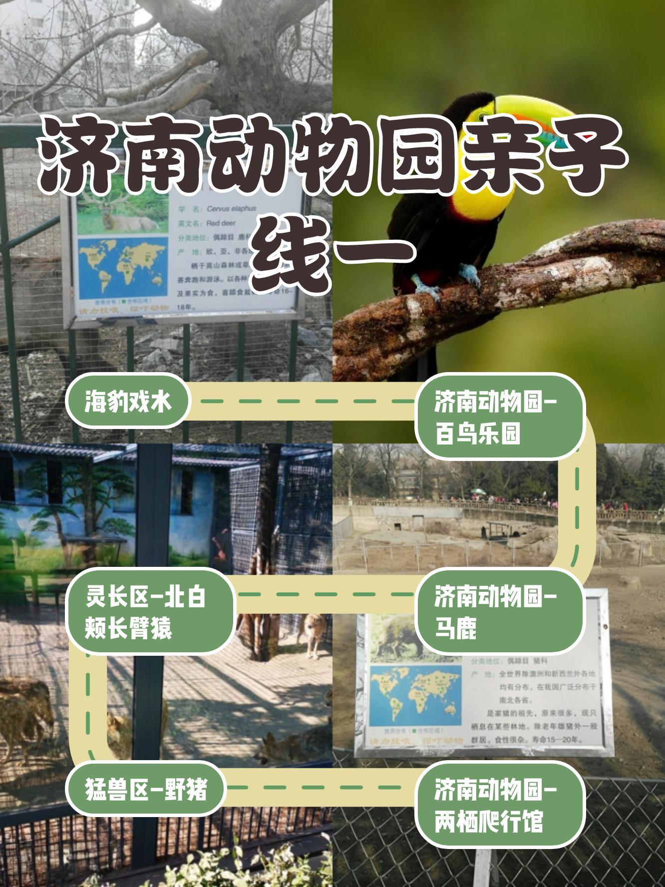 济南动物园门票多少钱-济南野生动物园门票多少一张票