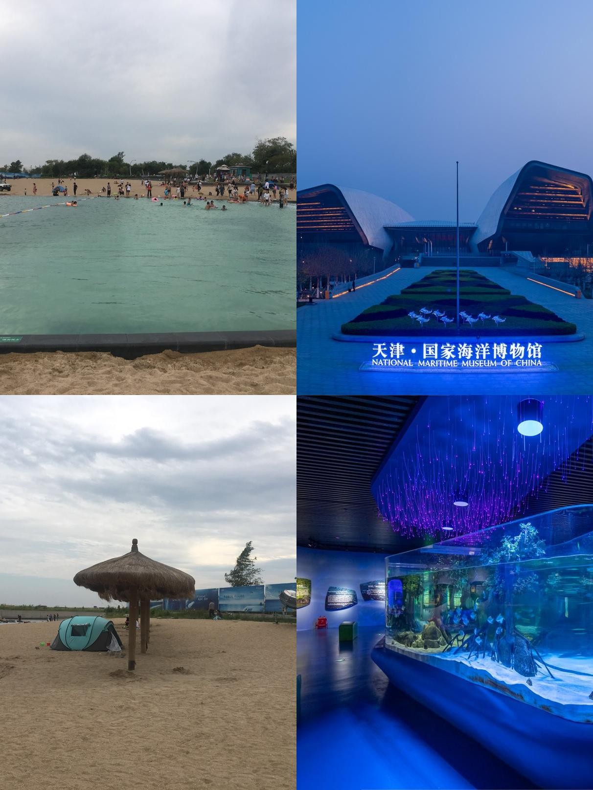 滨海旅游区-滨海旅游区派出所户籍科电话号码
