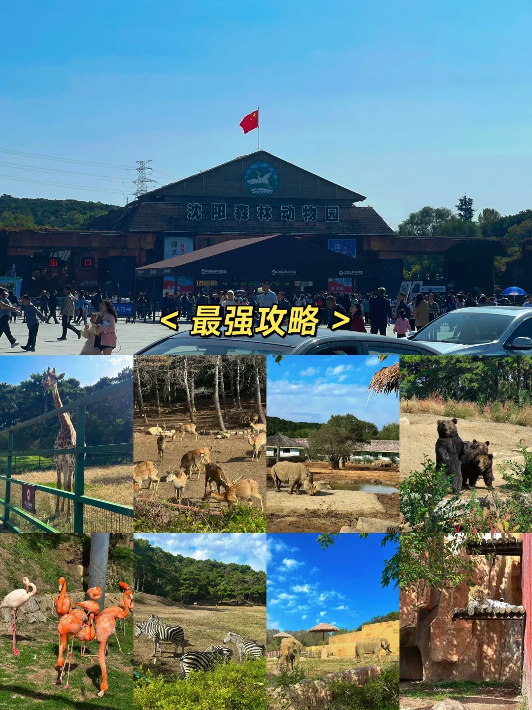 沈阳棋盘山旅游攻略-沈阳棋盘山风景区旅游攻略