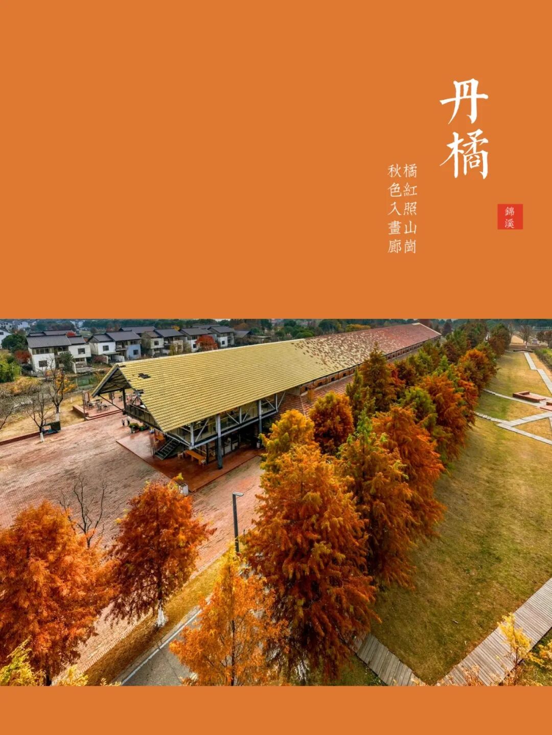 锦溪门票-蝎子吃毛毛虫