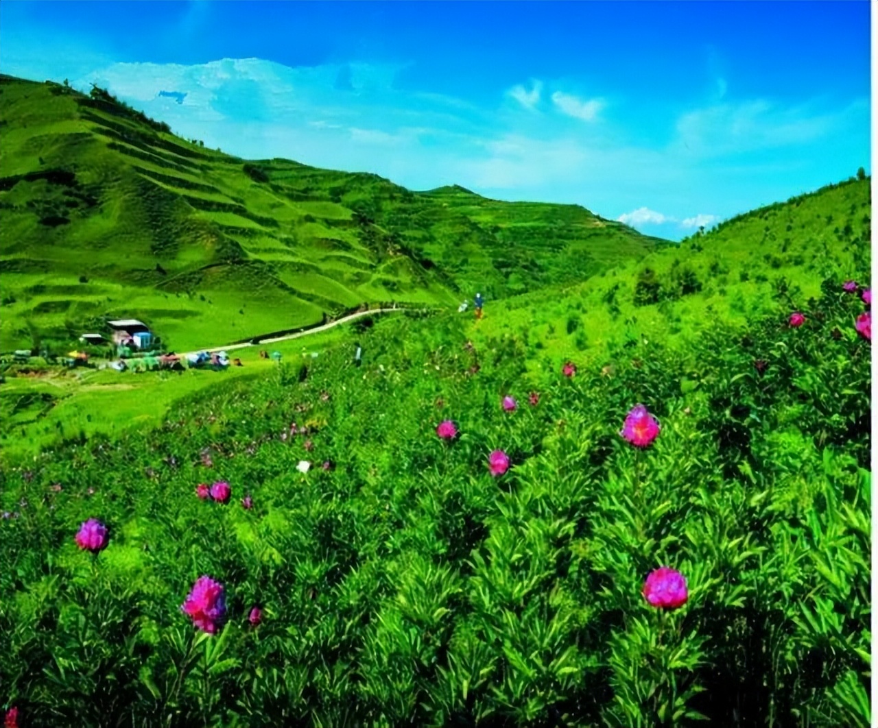 临夏旅游-临夏旅游景点介绍八坊十三巷简介