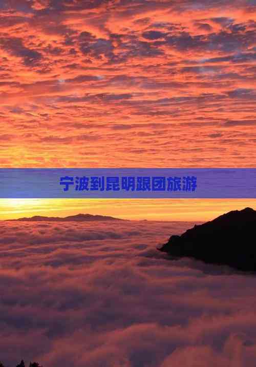 宁波旅游团-宁波旅游团滞留迪拜