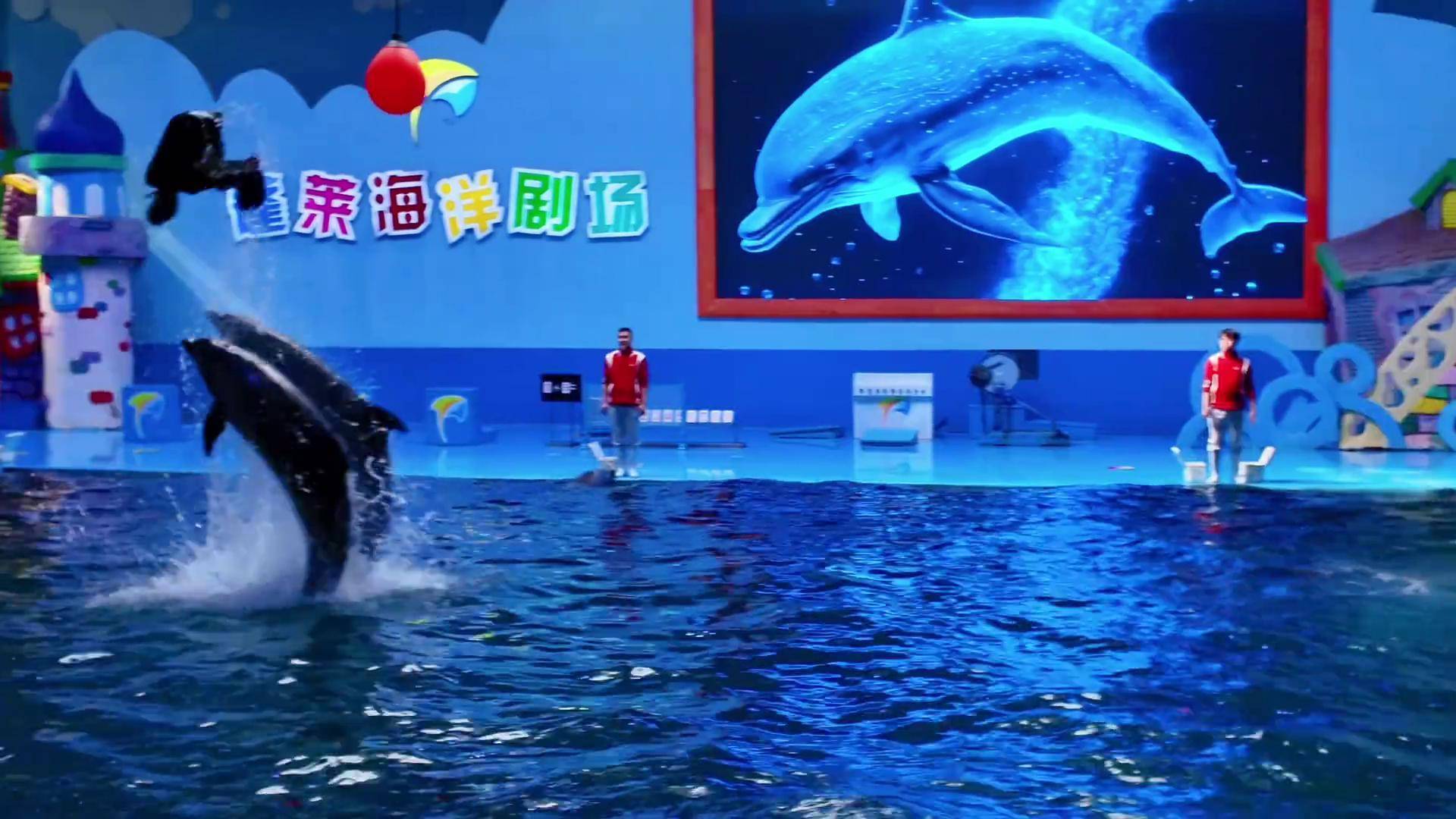 泉城海洋极地世界门票-泉城海洋极地世界门票多少钱一张齐河本地人