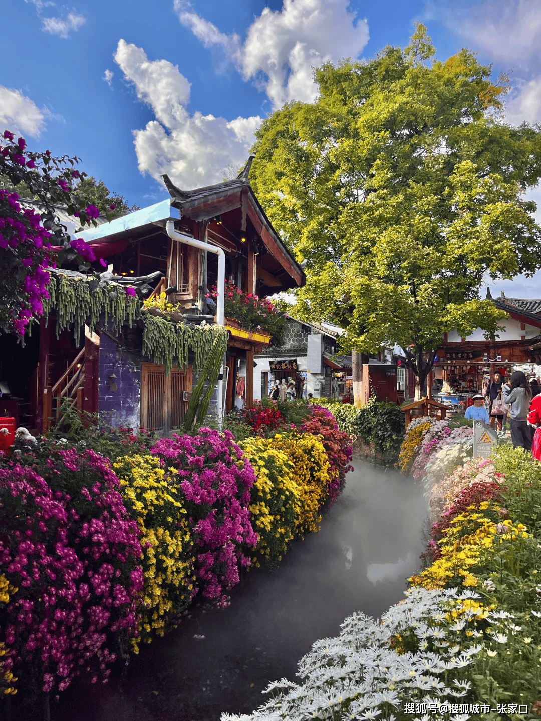 云南丽江旅游-云南丽江旅游团报价6日游