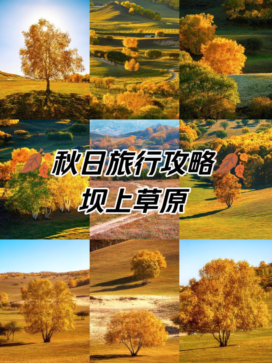 丰宁坝上草原旅游攻略-丰宁坝上草原自驾游攻略