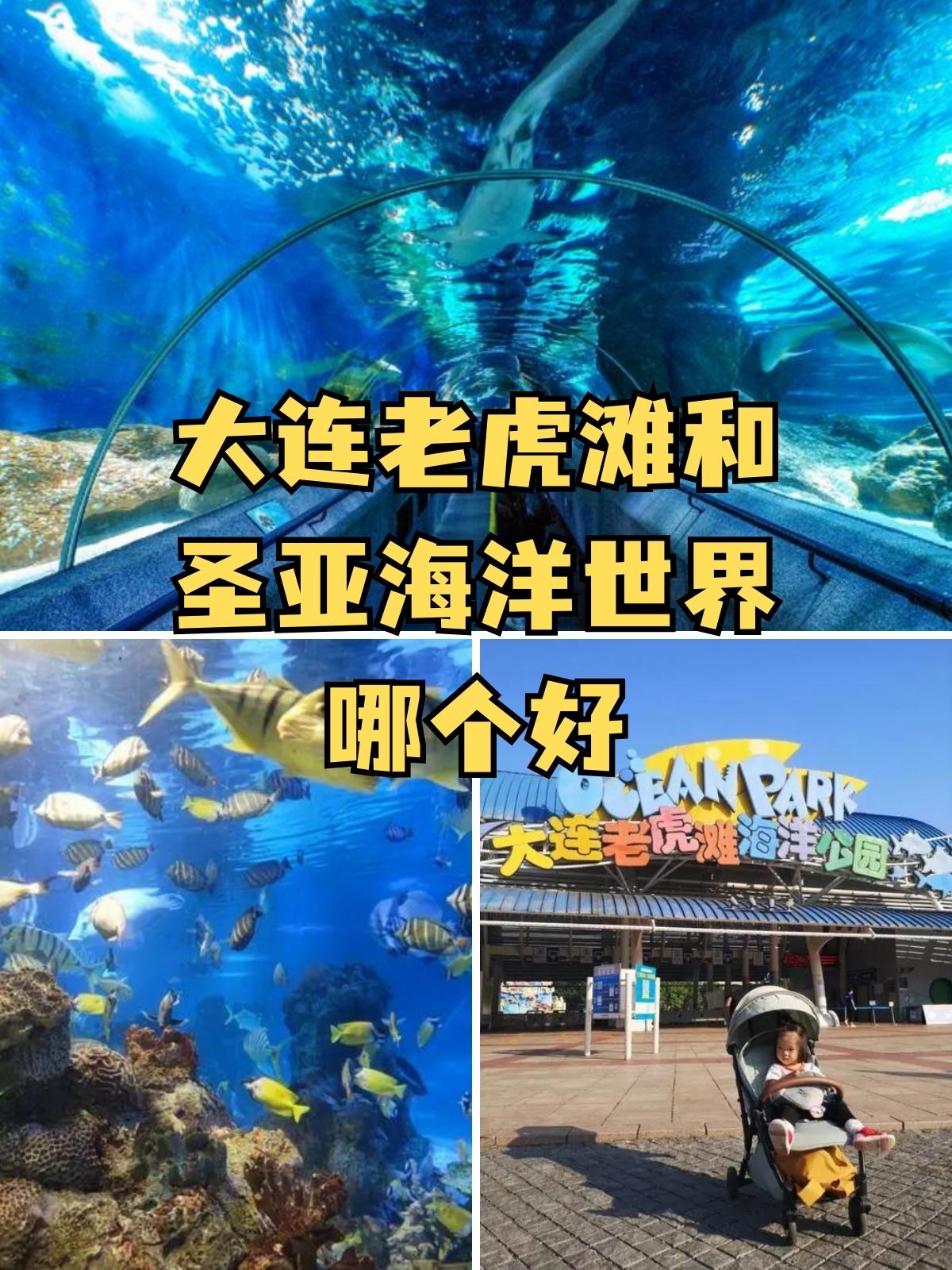 大连圣亚门票-大连圣亚门票优惠政策