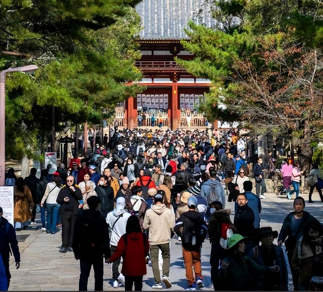 去日本旅游-去日本旅游跟团多少钱 去日本旅游-去日本旅游跟团多少钱