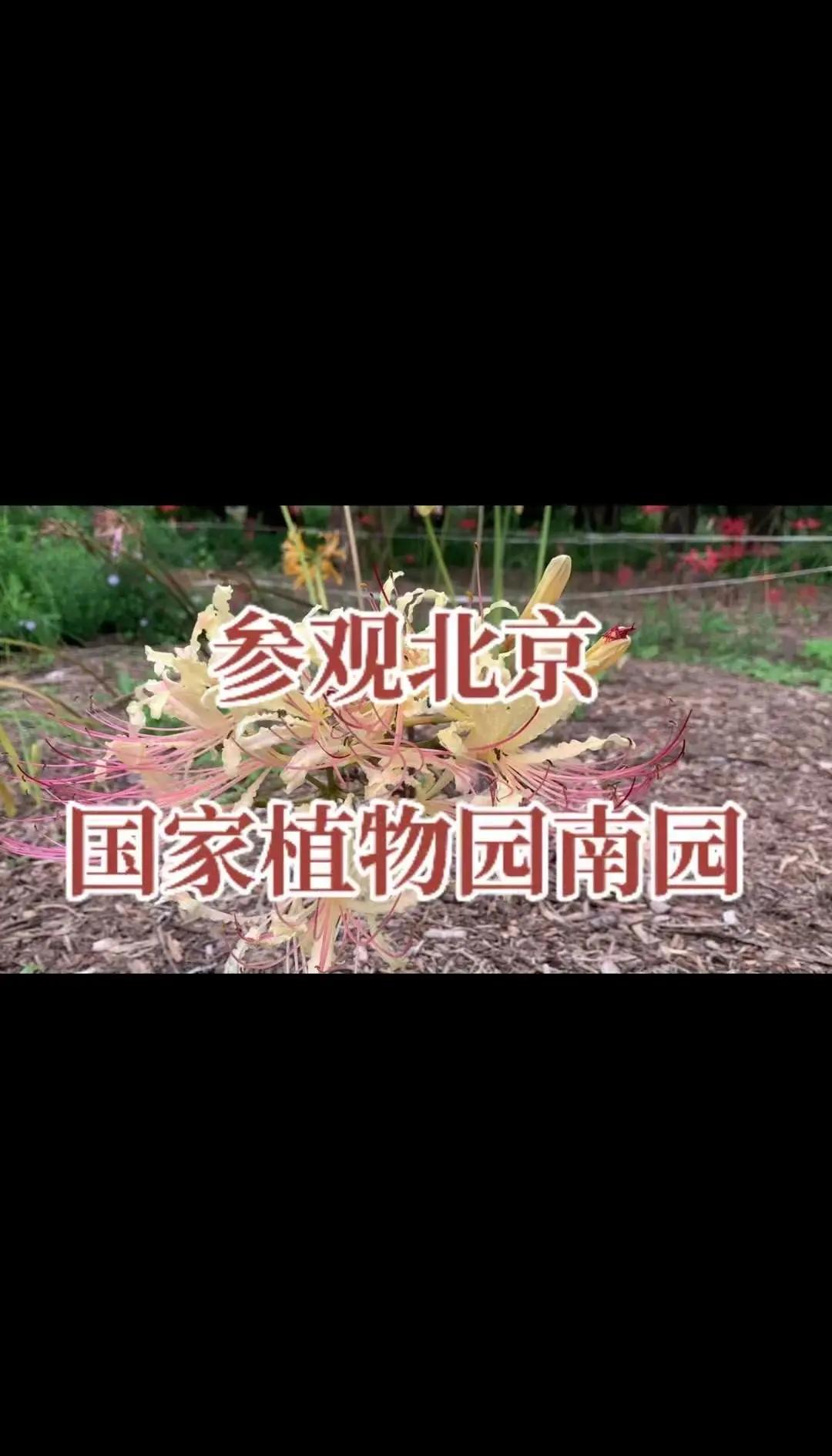 北京植物园门票-北京植物园门票预约吗