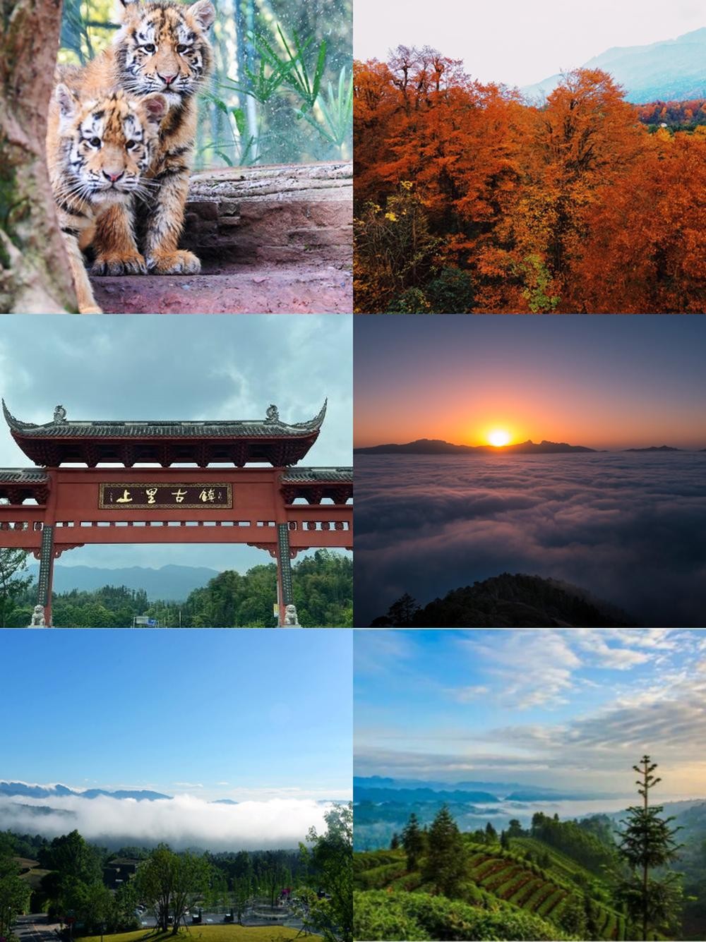 雅安旅游景点大全-雅安周边游景点推荐