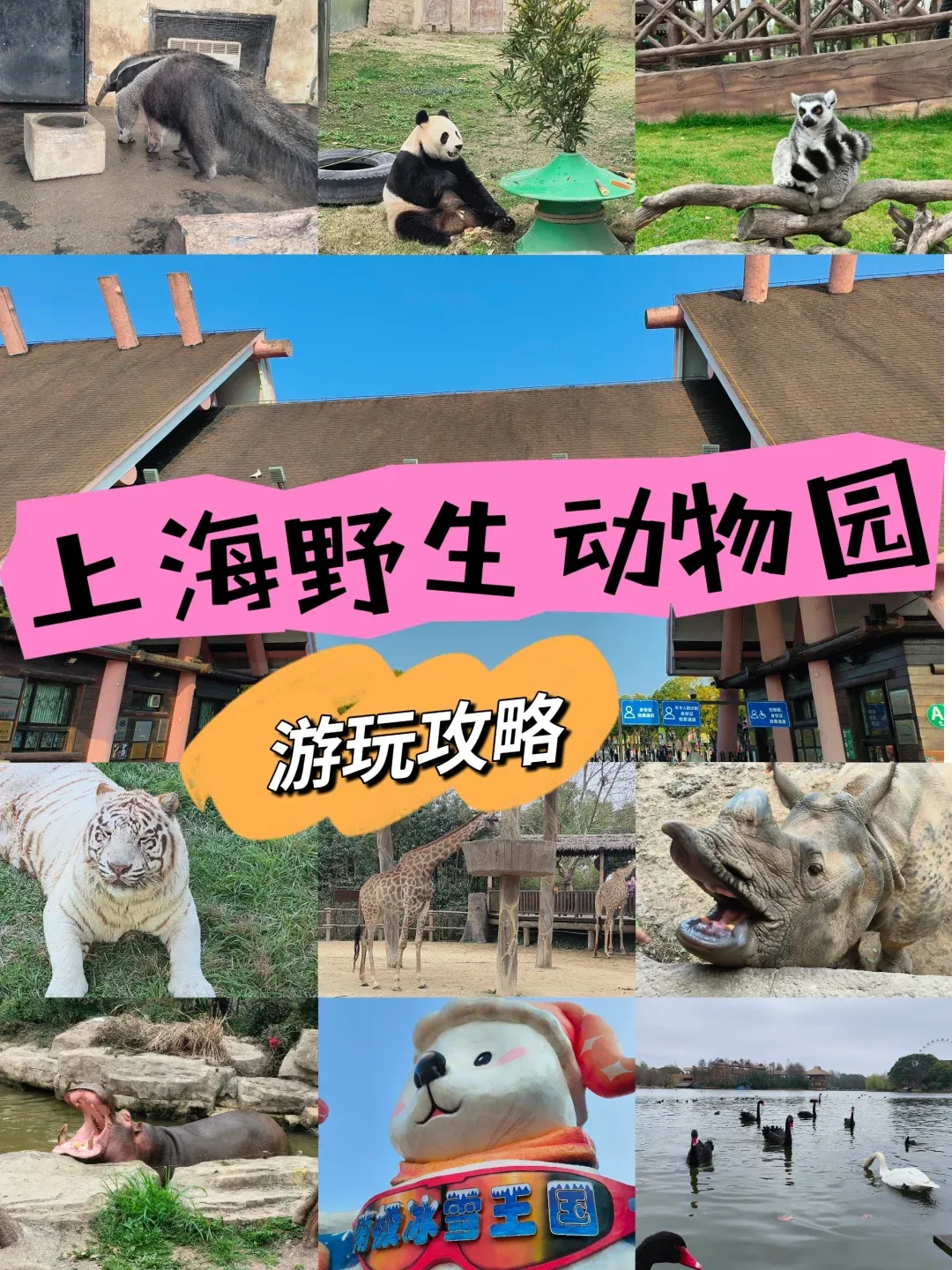 上海动物园旅游攻略-上海动物园旅游攻略一日游