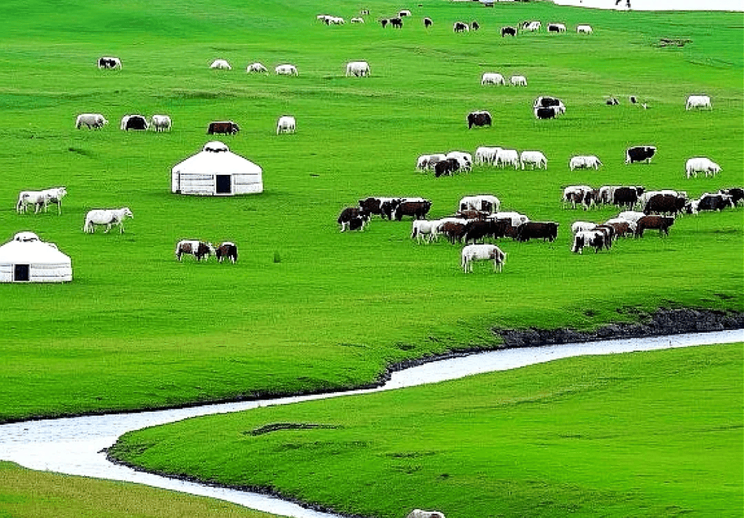 内蒙古草原旅游-内蒙古草原旅游攻略