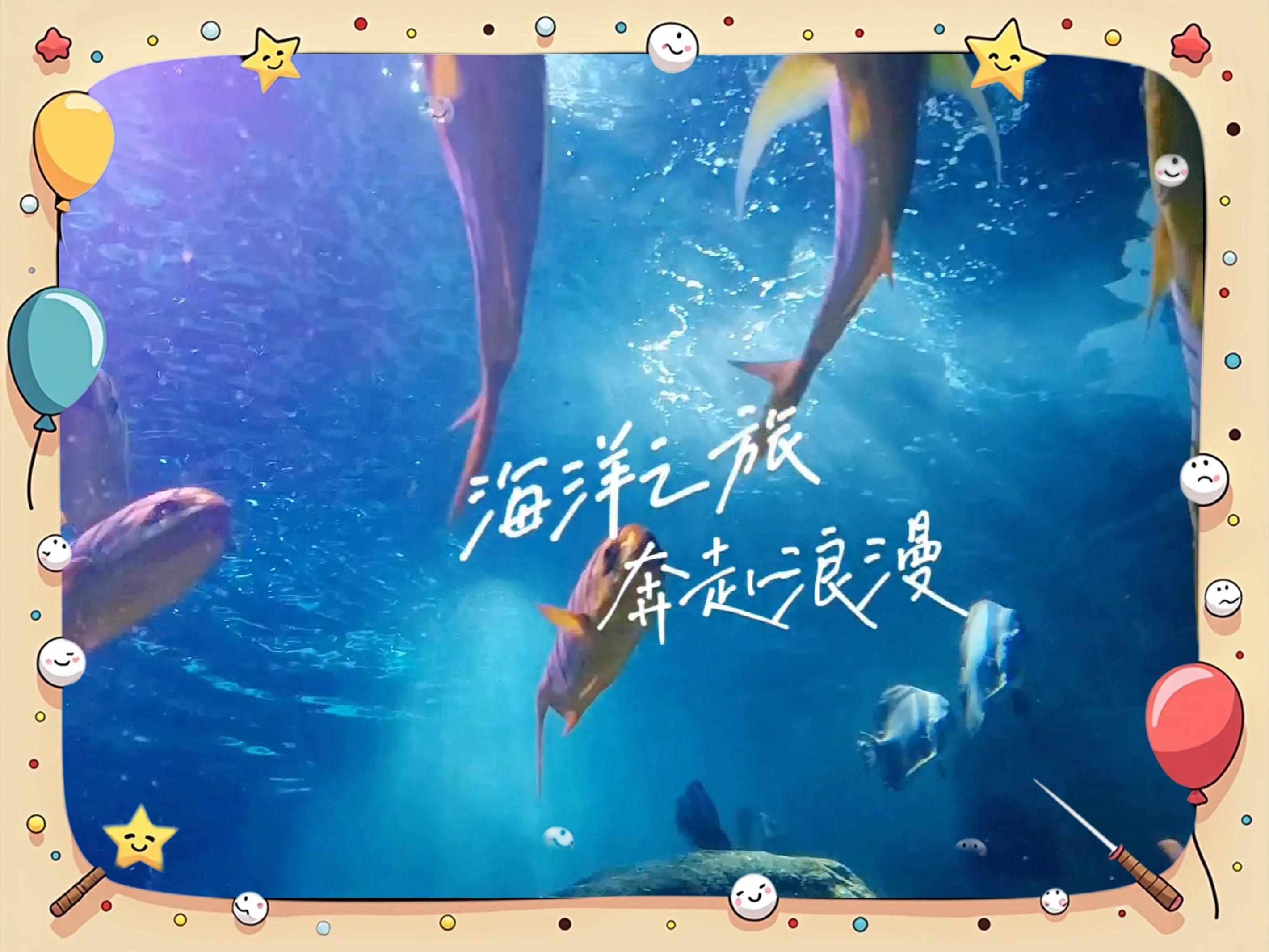 大连圣亚海洋世界门票-大连圣亚海洋世界门票在哪里买便宜