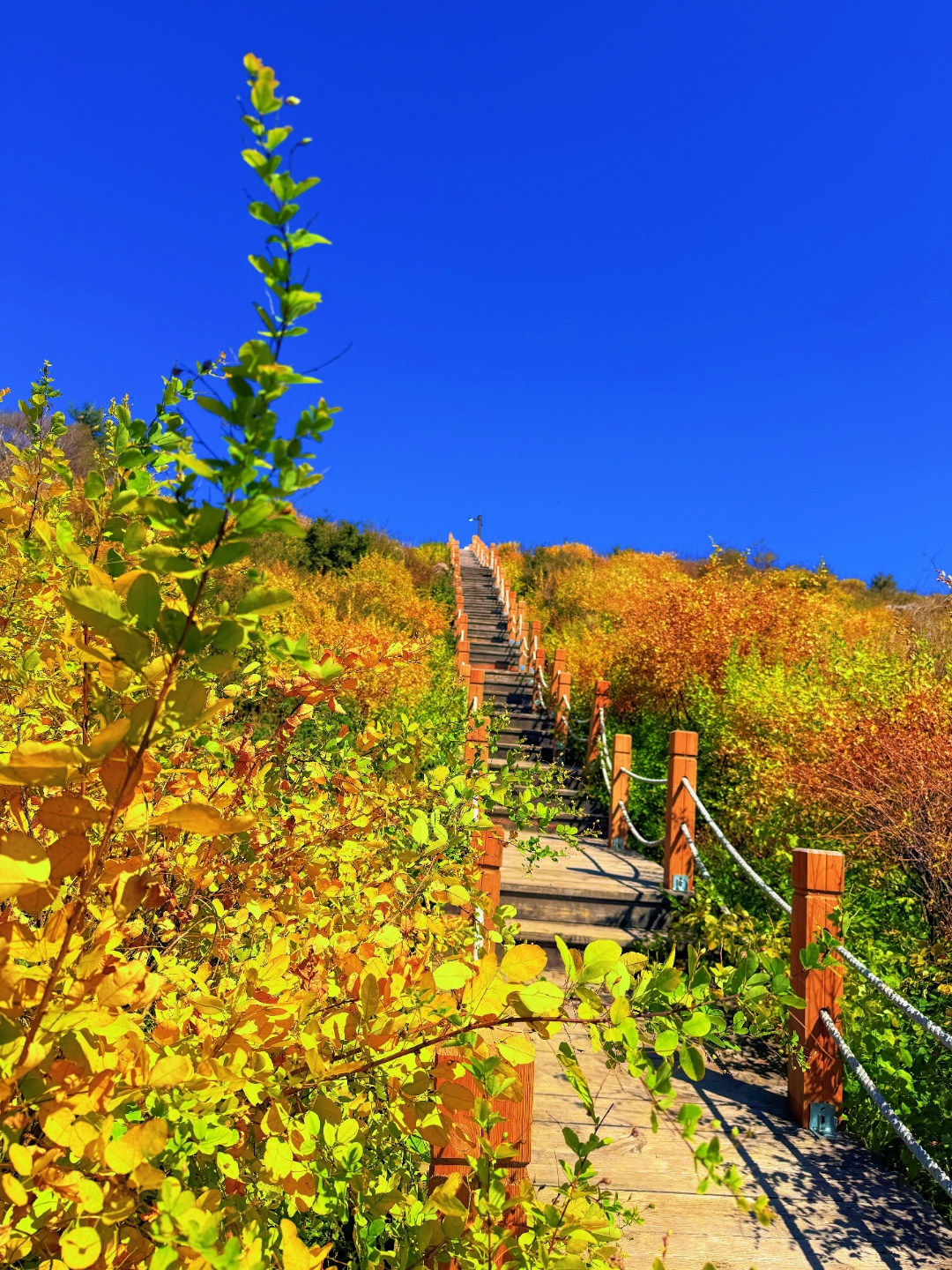 11月适合去哪里旅游-11月适合去哪里旅游4天