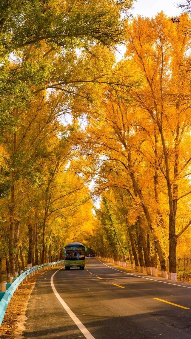 十月一适合去哪旅游-10月假期去哪里旅游合适